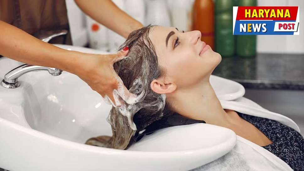 Winter Hair Care : सर्दियों में डैंड्रफ, दोमुंहे बाल और दूसरी बालों की समस्‍याओं से ऐसे पाएं निजात