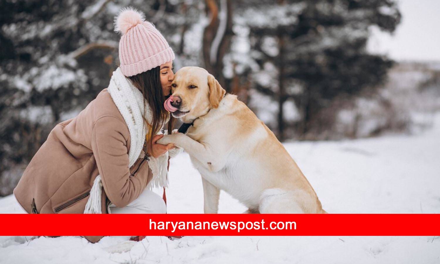 sardiyon mein paltu pets ki dekhbhal ke tips, pet care in winter