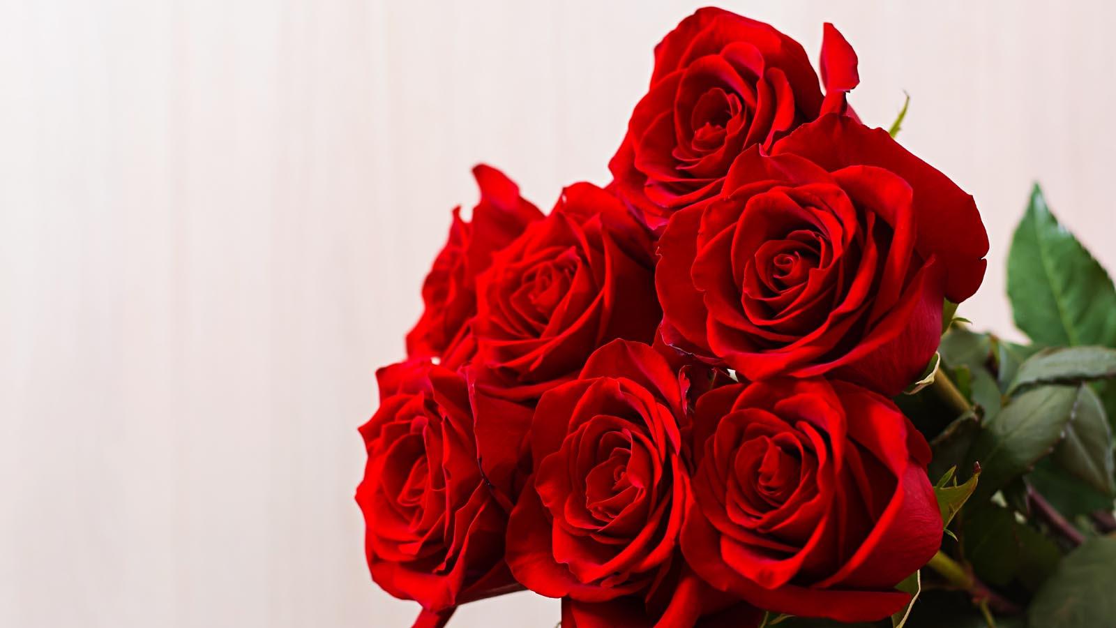 फ्रेंड्स के लिए रोज डे मैसेज Beautiful Rose Day Messages for Friends – Rose Day Wishes