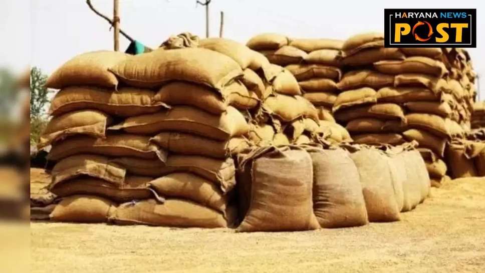 Wheat Stock: गेहूं और चावल स्टॉक पर सरकार ने जारी किया नया आदेश, जमाखोरों पर नकेल कसेगी