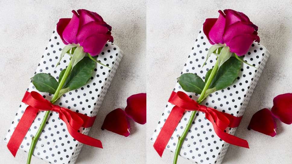 Rose Day Messages Wishes for Sister: सिस्‍टर को भेजिए रोज डे पर ये खूबसूरत मैसेज और उन्‍हें खुश कर दें