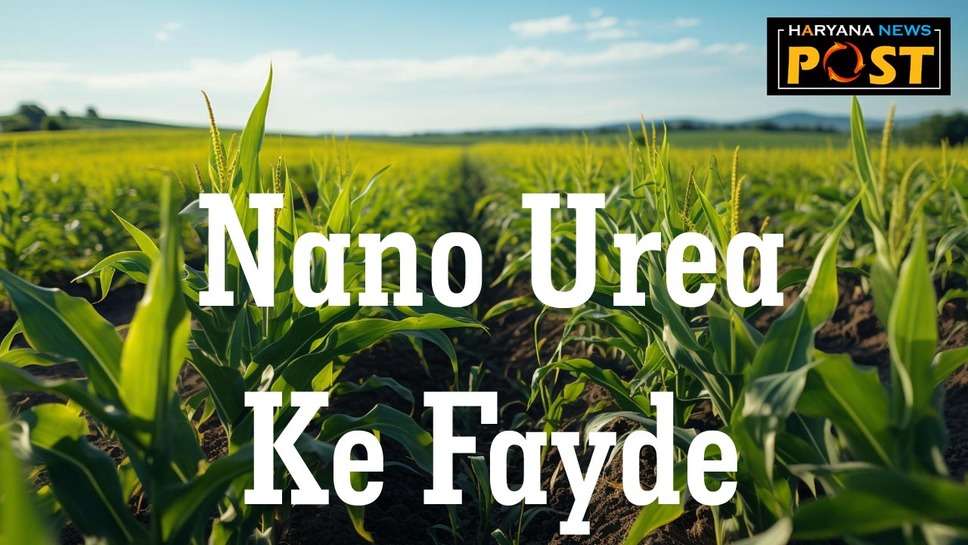 Benefits of Nano Urea: नैनो यूरिया क्या है, फसल के लिए क्यों जरूरी है ये तरल उर्वरक, जानें इसके फायदे