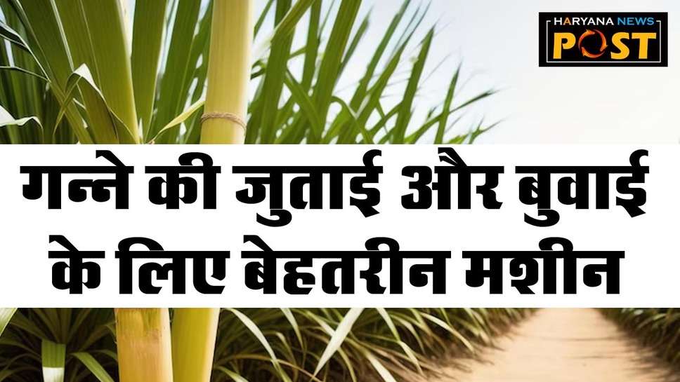 Sugarcane Power Tiller: ये है बेहतरीन मशीन, मिनटों में करती है गन्ने की जुताई और बुवाई