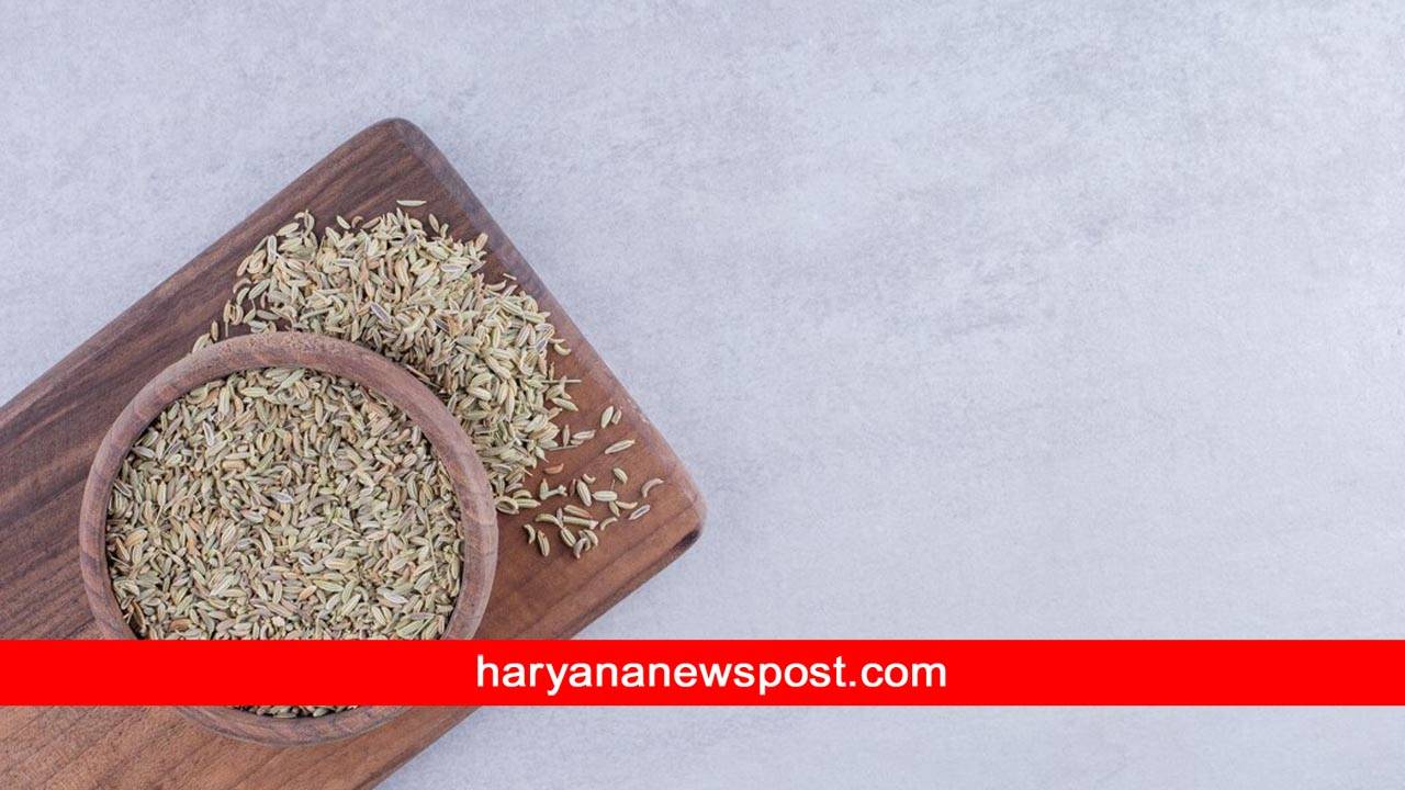 fennel seeds benefits for men sexual life consum with milk at every night saunf se shighrapatan ka ilaj