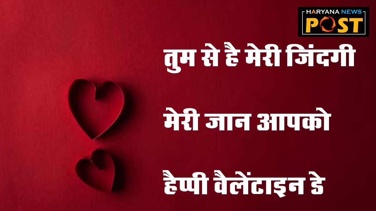 valentine day wishes, valentine day quotes, valentine day messages, valentine day image, valentine day whatsapp status, Valentine Day Quotes in Hindi