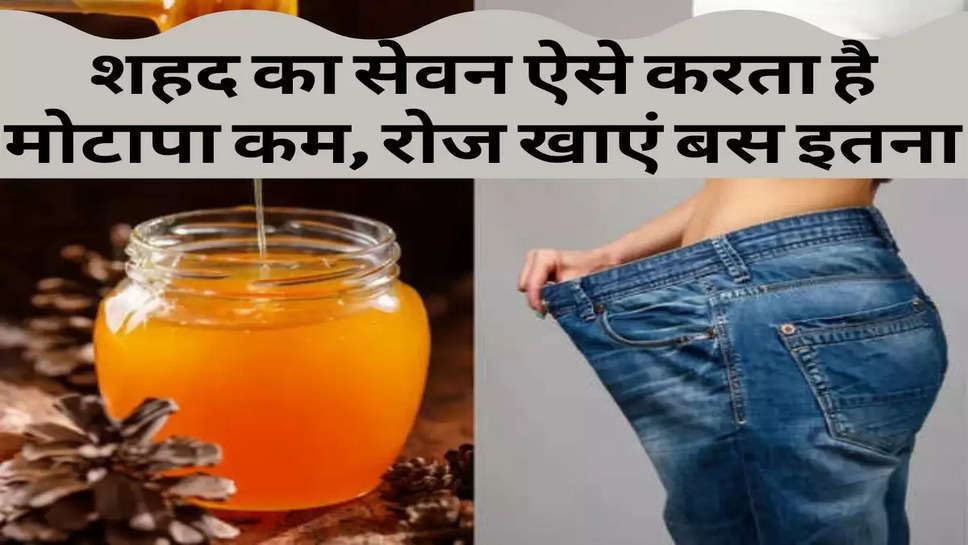 Health Tips  : शहद का सेवन ऐसे करता है मोटापा कम, रोज खाएं बस इतना