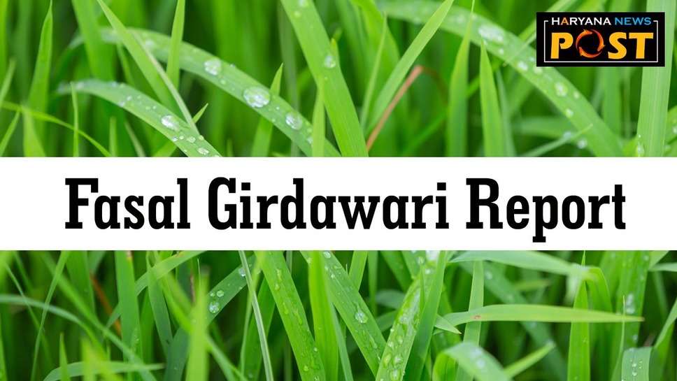 Fasal Girdawari Report: फसल खराबे की ऑनलाइन गिरदावरी प्रमाण पत्र और रिपोर्ट कैसे हासिल करें