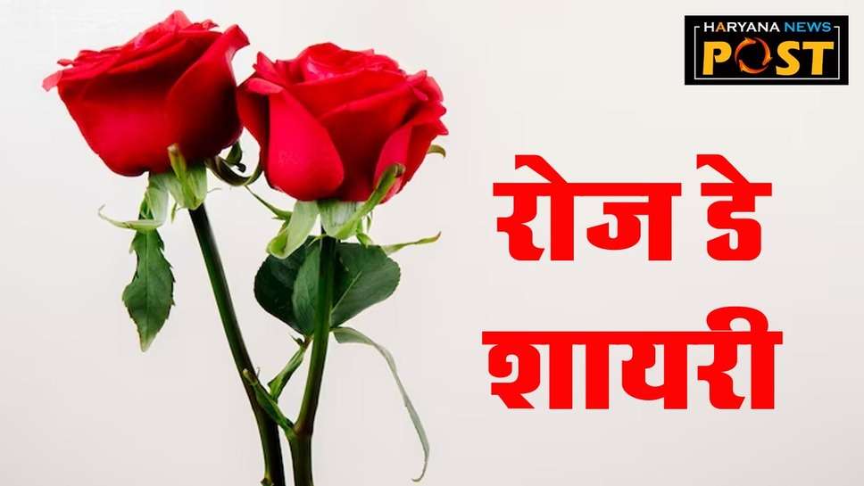 Rose Day Shayari for Girlfriend in Hindi : गर्लफ्रेंड के लिए रोज डे शायरी, इन रोमांटिक मैसेज से पहुंचाएं अपने दिल की बात