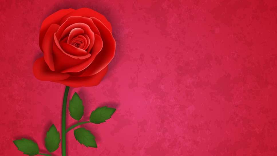 Rose Day Greetings Wishes, Messages For Wife and Husband प्रेमी, प्रेमिका और पति को रोज डे पर भेजिए ये आकर्षक मैसेज और विशेज