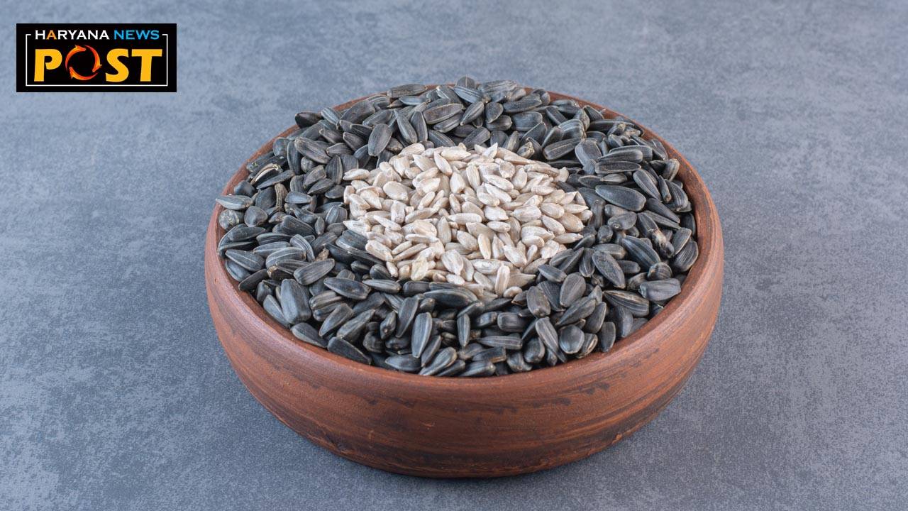 black wheat, black wheat benefits, black wheat seed price, black wheat benefits in hindi, black wheat variety, black wheat seed in india, black wheat seed online