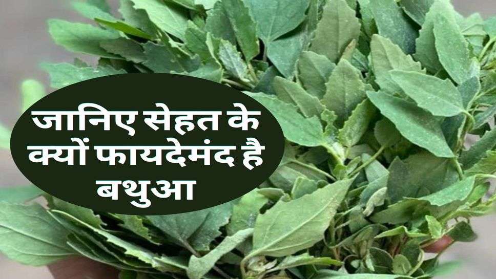 Health Tips : जानिए सेहत के क्यों फायदेमंद है बथुआ