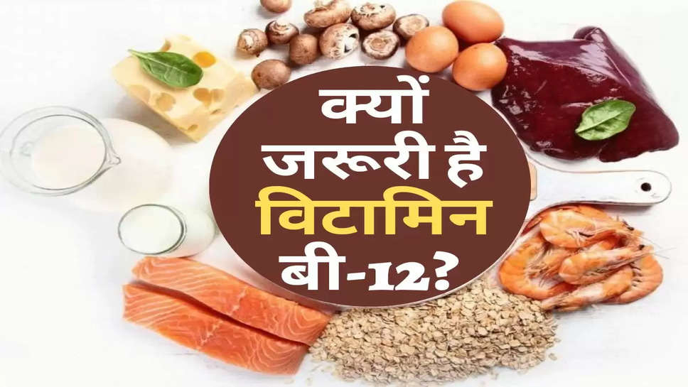 Health : जानिए शरीर के लिए क्यों जरूरी है विटामिन बी-12? 