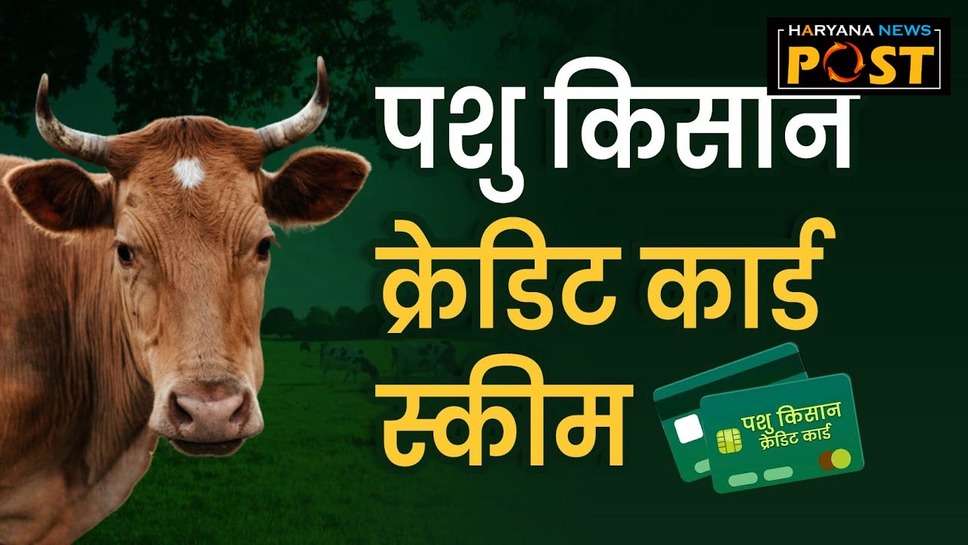 Haryana Pashu Kisan Credit Card: हरियाणा पशु किसान क्रेडिट कार्ड 2024 कैसें भरें? पशु पालकों मिल रहे इतने लाभ 