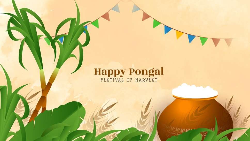 Pongal wishes text messages in Hindi and English