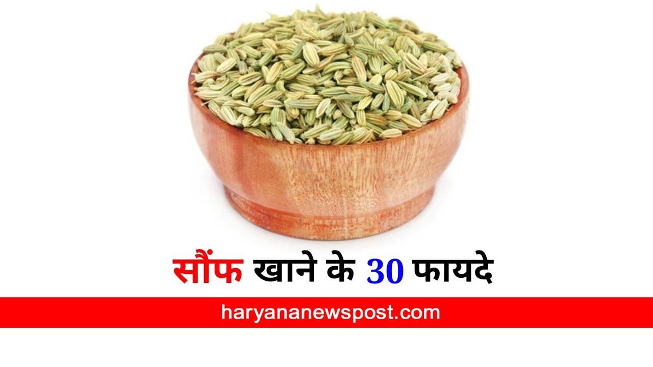 fennel seeds benefits for men sexual life consum with milk at every night saunf se shighrapatan ka ilaj