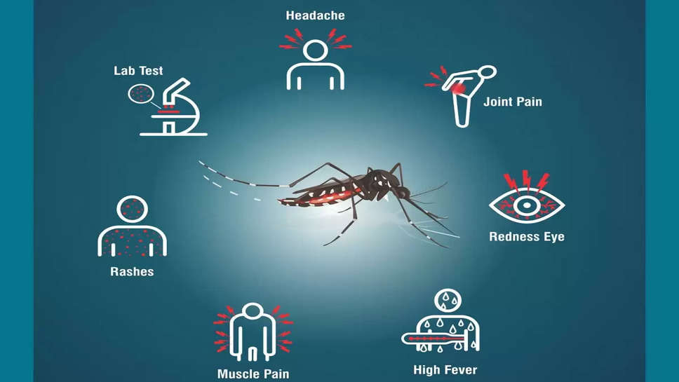 जानिए बच्चों में Dengue बुखार के लक्षण व बचाव का तरीका क्या? 