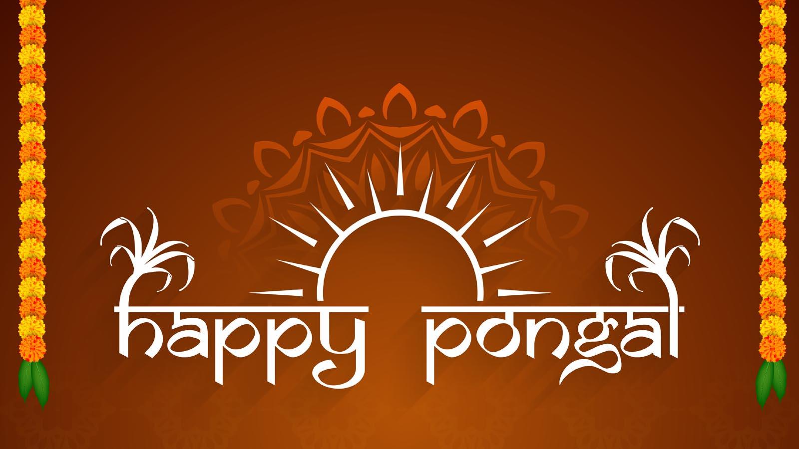 Happy Pongal Wishes Greetings – Pongal Messages for Boss