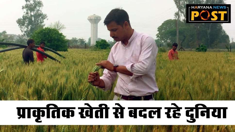 Natural Farming: एक जिद ने प्रगतिशील किसान यशपाल को ऐसे प्राकृतिक खेती की ओर मोड़ा, आज हर चेहरे पर ला रहे मुस्‍कान