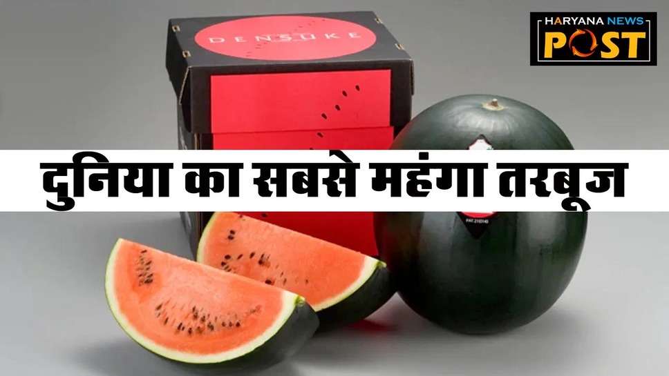 Expensive Watermelon : जानिए कौन सा तरबूज है दुनिया में सबसे महंगा, जो बिक रहा सोने के रेट पर