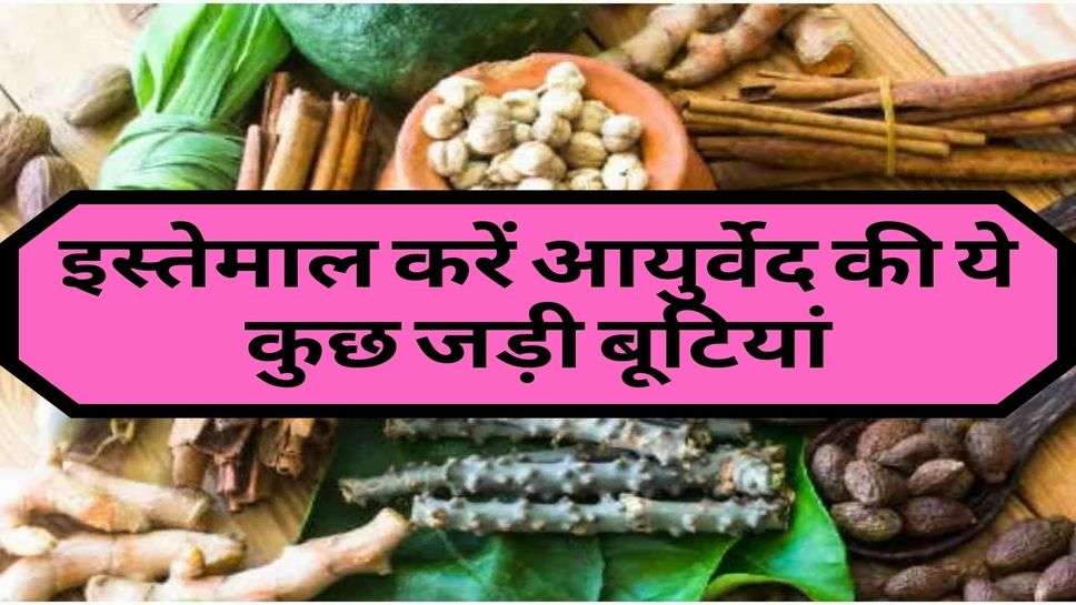 Health : इस्तेमाल करें आयुर्वेद की ये कुछ जड़ी बूटियां, कट जाएगी कर एक बीमारी