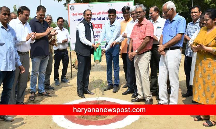 Hisar News: हरियाणा कृषि विश्वविद्यालय हिसार ने मनाया प्रधानमंत्री नरेंद्र मोदी का 73वां  जन्मदिवस
