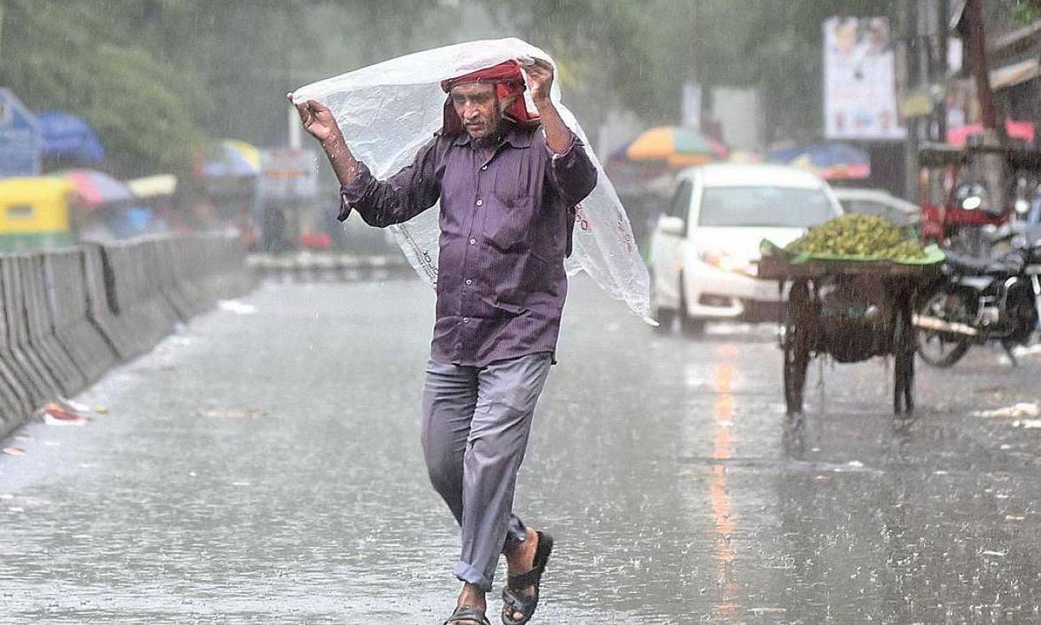 Weather Forecaste of Haryana