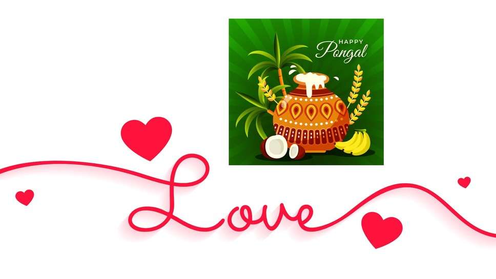 Pongal wishes for lover in Hindi and English