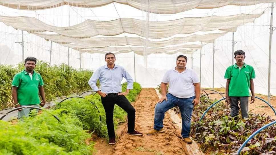 Kheti: फसलों को सुरक्षित रखती है ‘खेती स्टार्टअप’ की खास तकनीक, टर्नओवर करीब पांच करोड़
