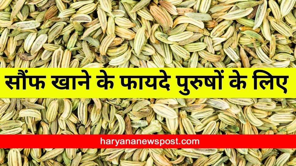 Fennel Benefits for men : पुरुषों के लिए सौंफ के फायदे, बेहद लाभकारी हैं Saunf के बीज, रातों रात महसूस करेंगे इसका असर 