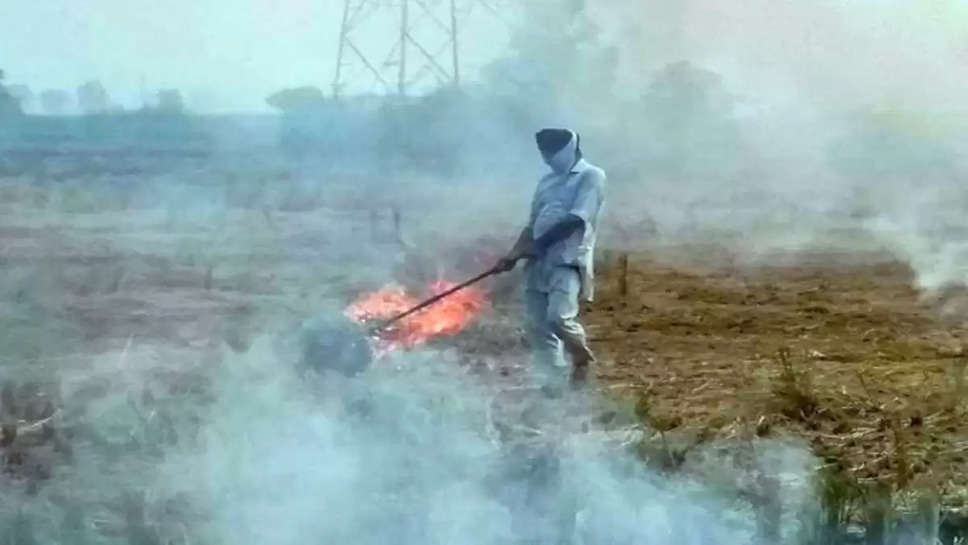 Delhi Pollution: पंजाब में पराली से होने वाले प्रदूषण पर लगाम लगाएगी जर्मनी की कंपनी