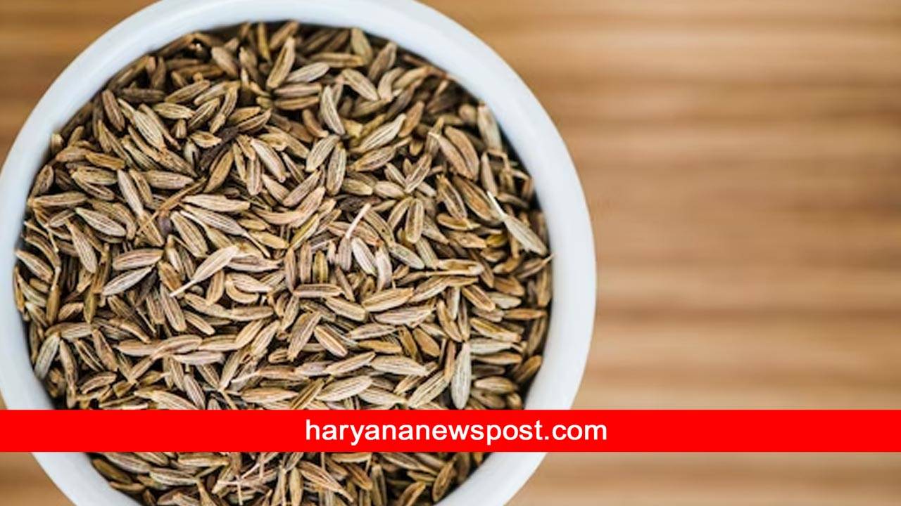 fennel seeds benefits for men sexual life consum with milk at every night saunf se shighrapatan ka ilaj