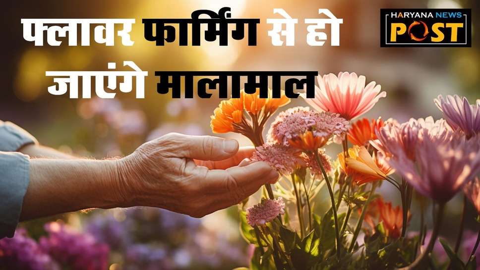 Flower Farming: फूलों की खेती से कमाना चाहते हैं लाखों रुपए तो इन टिप्‍स को अपनाएं