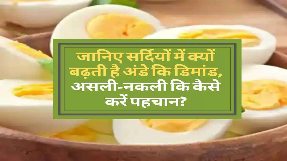 Health News : जानिए सर्दियों में क्यों बढ़ती है अंडे कि डिमांड, असली-नकली कि कैसे करें पहचान?