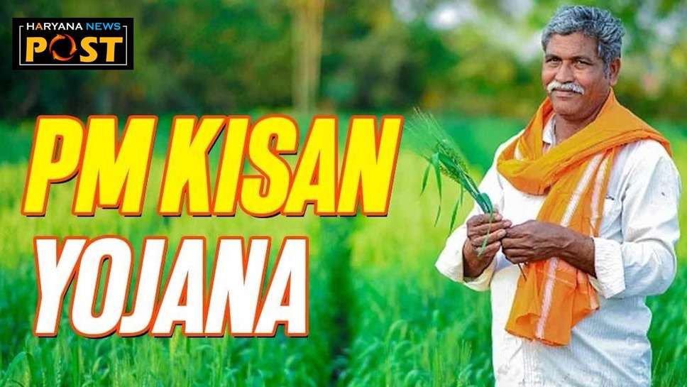 haryana news: हरियाणा के किसान PM Kisan लाभार्थी फटाफट निपटाएं ये काम, नहीं तो अटक जाएगी 2000 रुपए की 16वीं किश्त!