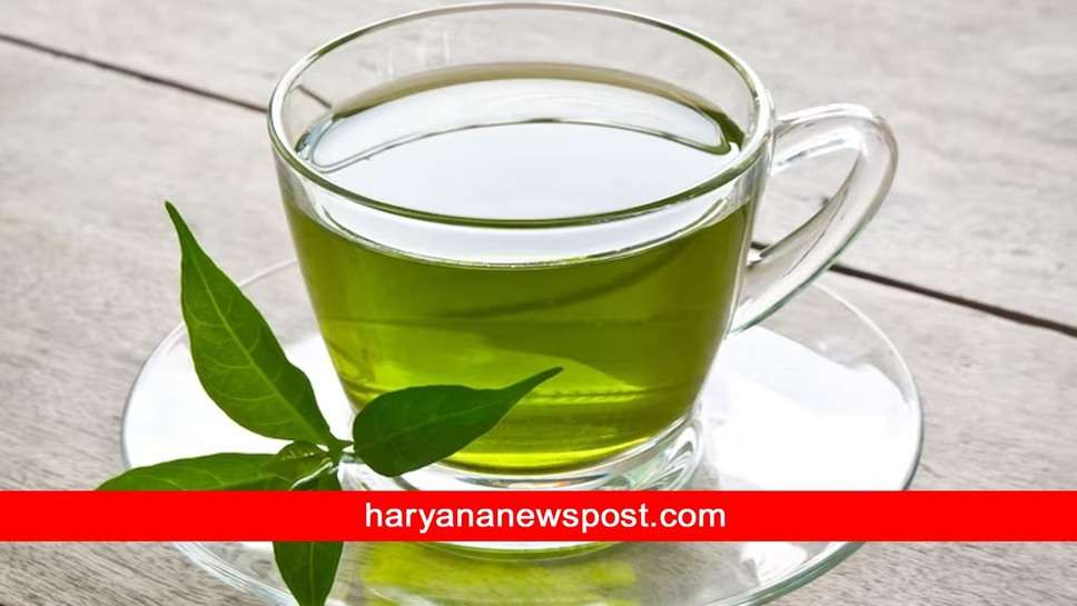 Green Tea: सेहत के लिए मिल्क टी, ग्रीन टी या ब्लैक कौन सी चाय हैं सबसे फायदेमंद, जानें क्या क्या कहता है शोध 