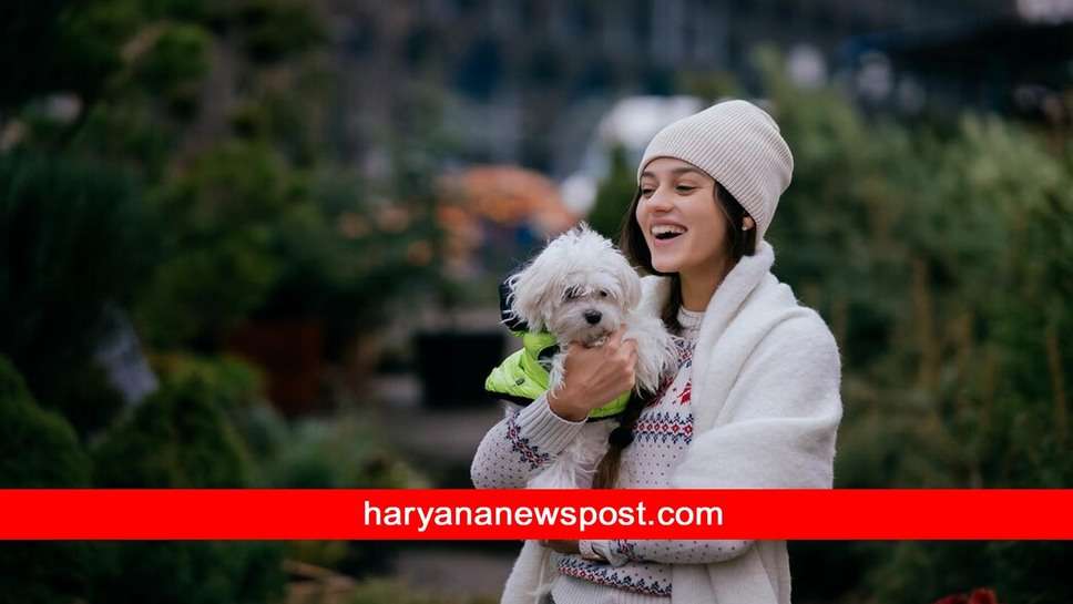 Pet Care in Winter : ठंड के मौसम में पालतू पशुओं की ऐसे करें देखभाल, ये लक्षण दिखे तो तुरंत Veterinary Doctor को दिखाएं 