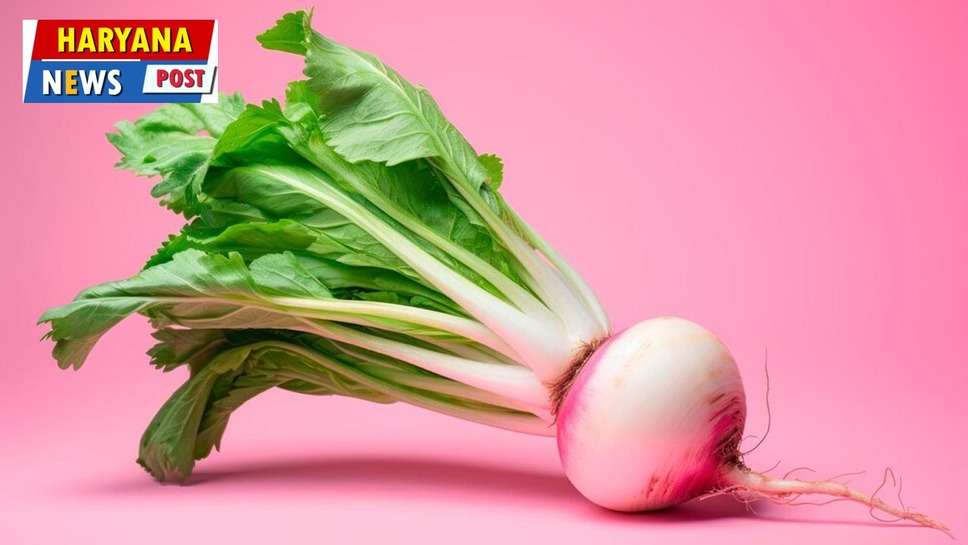 Benefits of Turnip : शलजम में हैं ढेर सारे गुण इसके सेवन से इन रोगों से आप हमेशा बचे रहेंगे 