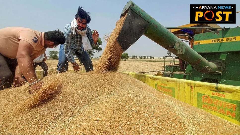 Wheat Harvesting: गेहूं कटाई के लिए रीपर बाइंडर मशीन के लाभ