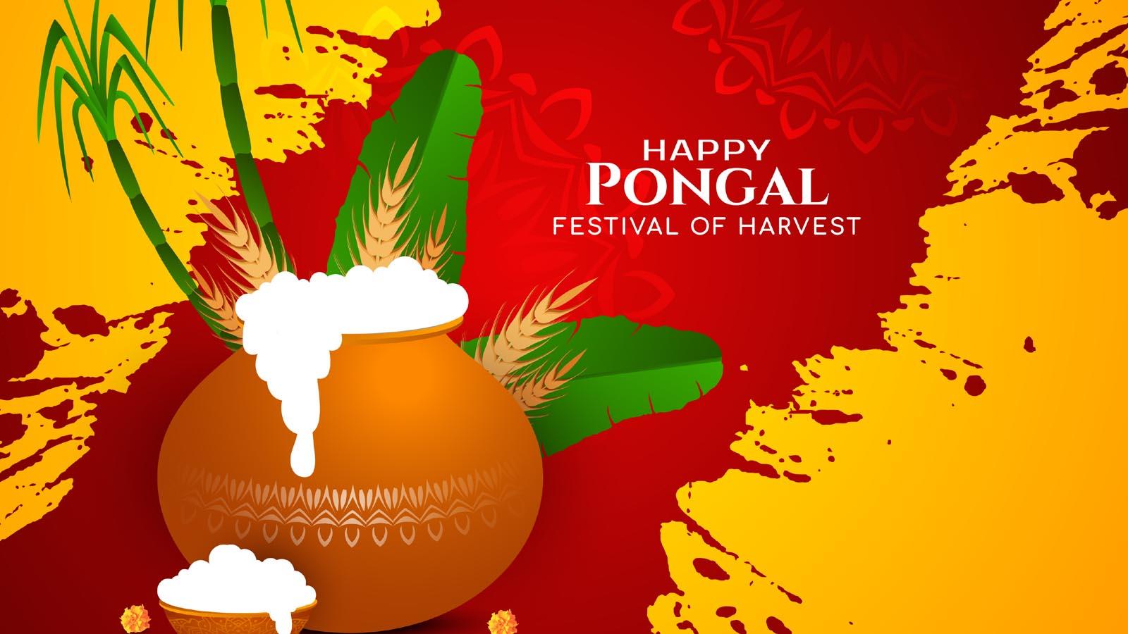 Pongal Messages Image, Pongal Wishes to Brother - Pongal Greetings