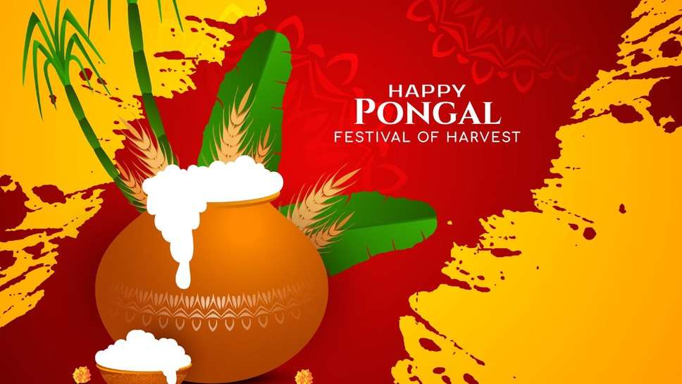 Pongal messages for boss in Hindi