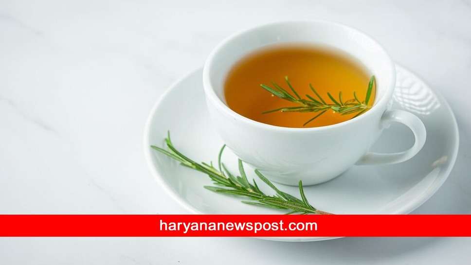 Lemongrass Tea Benefits: लेमन ग्रास के हैं इतने फायदे की आपकी फालतू चर्बी हो जाएगी गायब और निखर उठेगी त्वचा 