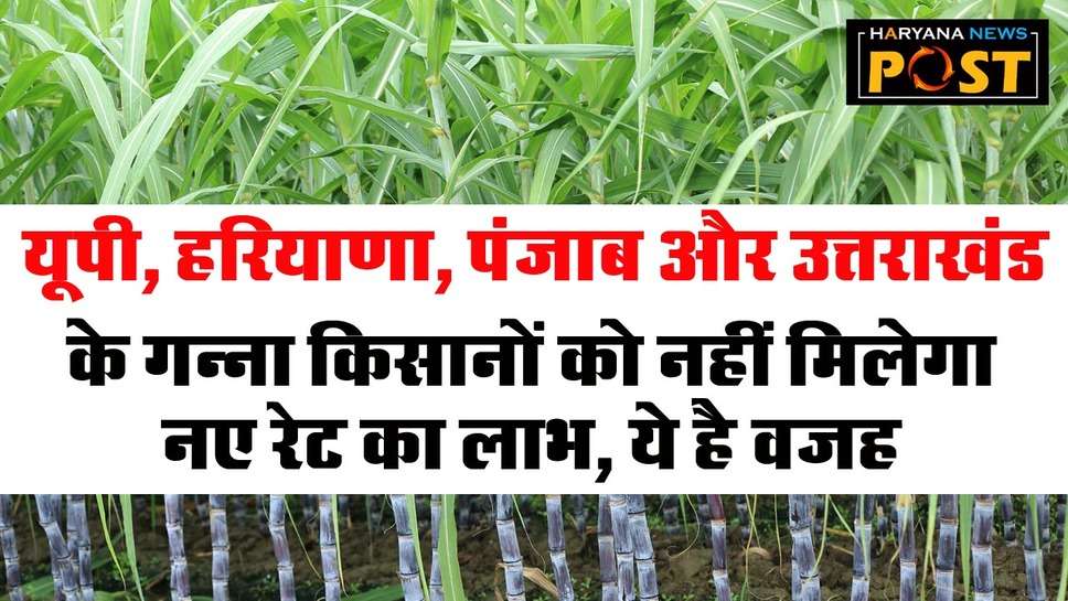 Sugarcane Price Hike: पंजाब, हरियाणा, उत्तर प्रदेश और उत्तराखंड के गन्‍ना किसान को नए रेट का नहीं मिलेगा फायदा, ये है वजह