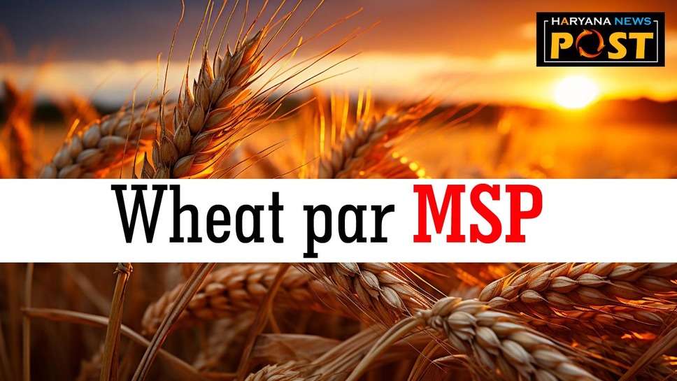 MSP on Wheat : इस सरकार ने बढ़ाया गेहूं का एमएसपी, किसानों की हो गई बल्ले बल्ले 