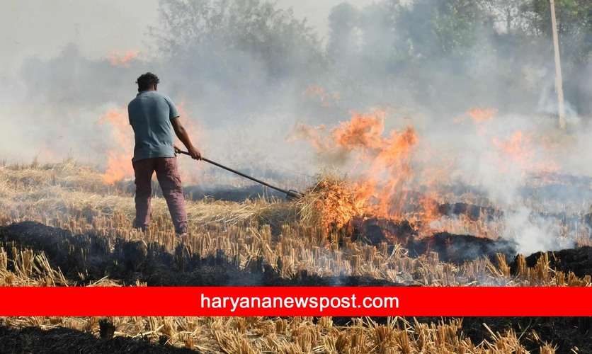 Karnal News : करनाल में पराली जलाने की घटनाओं में 65 प्रतिशत की कमी आई, हर गांव की हो माइक्रो मॉनिटरिंग