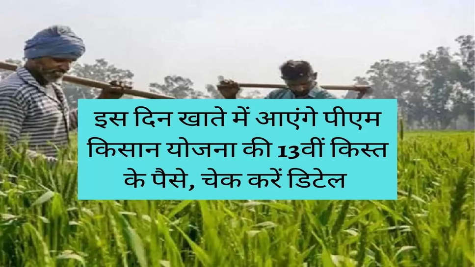 PM Kisan Yojana : इस दिन खाते में आएंगे पीएम किसान योजना की 13वीं किस्त के पैसे, चेक करें डिटेल 