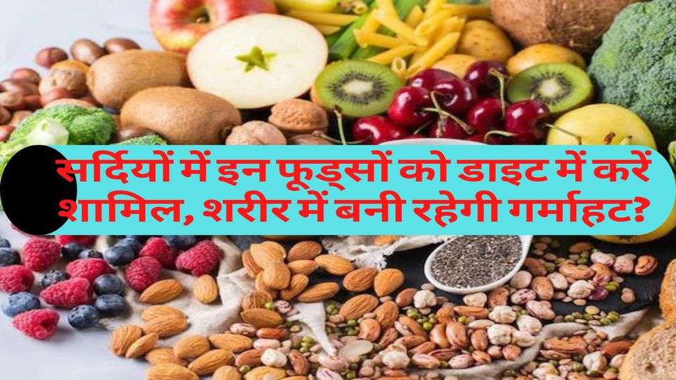 Health : सर्दियों में इन फूड्सों को डाइट में करें शामिल, शरीर में बनी रहेगी गर्माहट?