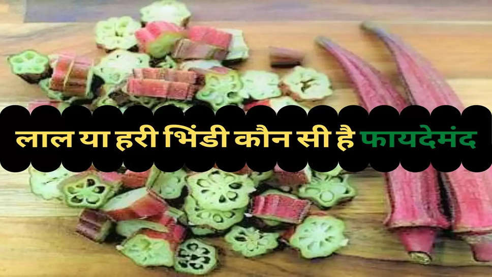 Health Tips : लाल या हरी भिंडी कौन सी है फायदेमंद