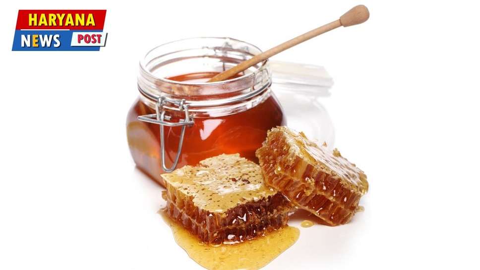 6 benefits of eating honey in winters : सर्दियों में लाभकारी है शहद, रोजाना सेवन से कई बीमारियाँ रहती हैं दूर 