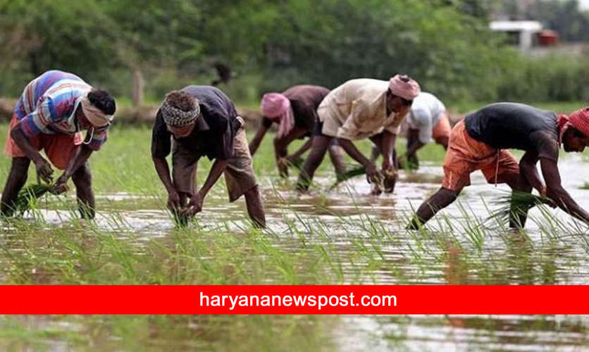 लघु-सीमांत किसानों को हर महीना मिलेगी 3,000 रुपये पेंशन, खुशी का नहीं ठिकाना
