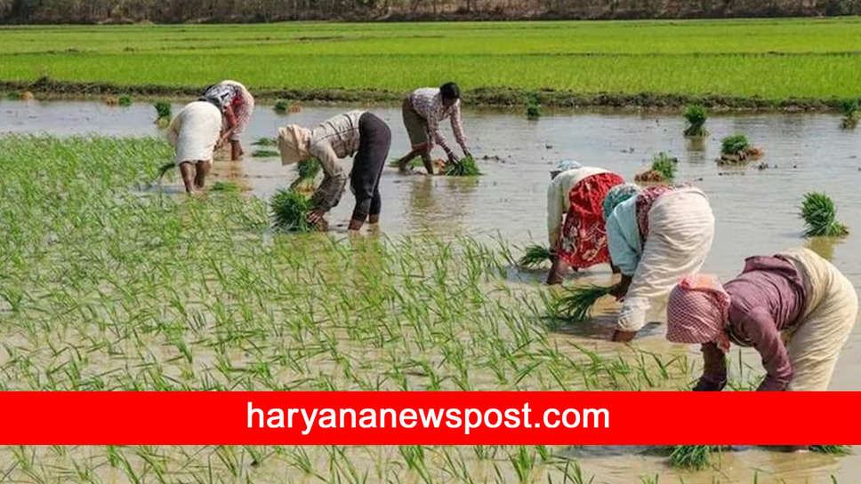 PMKMY: किसानों को केंद्र सरकार हर महीने देगी 3,000 रुपये, जानिये आवेदन की जरूरी शर्तें
